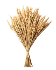 Fototapeta premium Golden Wheat Sheaf Abundant Harvest Nature Bounty