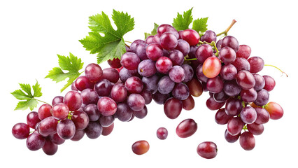 Fototapeta premium Freshly harvested red globe grapes with green leaves against Trensprent Background png