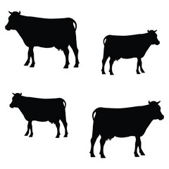 Cow silhouette illustration Design Cow silhouette icon	