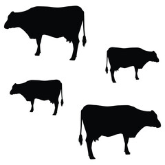 Cow silhouette illustration Design Cow silhouette icon	