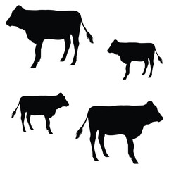 Cow silhouette illustration Design Cow silhouette icon	