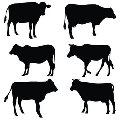 Cow silhouette illustration Design Cow silhouette icon	