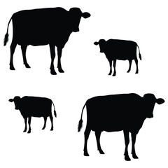 Cow silhouette illustration Design Cow silhouette icon	