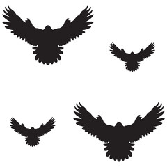 Falcon Vector illustration Design Falcon vector icon