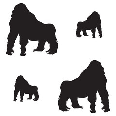 Gorila Vector illustration Design Gorila vector icon