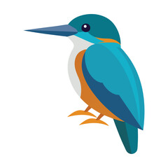 A kingfisher vector art illustration