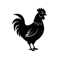 Black Vector Silhouette Chicken Bird Standing
