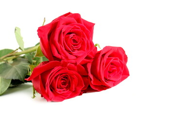 A bouquet of red roses is on a white background.	