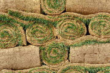 Rolls of turf stacked on top of each other. Fresh green grass with a root system on the ground.