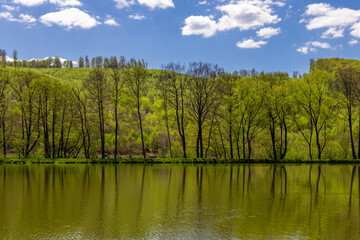 Landscape with trees on the bank of a lake mirrored in the water