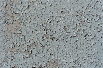 A wall with peeling paint. The paint is light blue and the wall is grey.