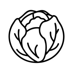 Cabbage head vegetable outline vector illustration fresh healthy food ingredient diet icon simple design