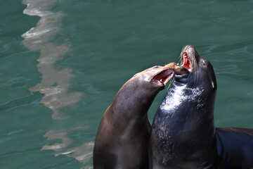 Confrontation over territory
