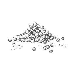 Black pepper seasoning. Hand drawn ink sketch.