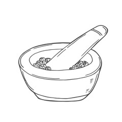 Mortar and pestle hand drawn vector illustration. Hand drawn sketch