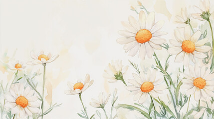Obraz premium Elegant wedding invitation card background . Minimal hand painted watercolor Chamomile flowers texture template background. Design for wedding, vip cover, poster, rsvp moderncard.Valentine's Day