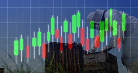 Beekeeper inspecting hive box in apiary, overlaying finance candlestick chart with red green bars - Powered by Adobe