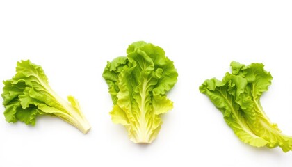 Fresh green leafy vegetables (1)