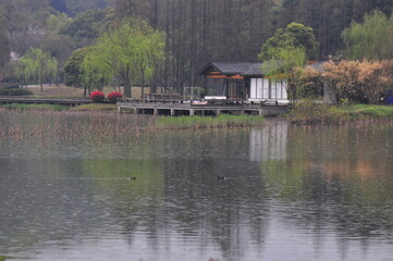 Fototapeta premium The scenic landscape of Hangzhou Jinji Lake in China spring time