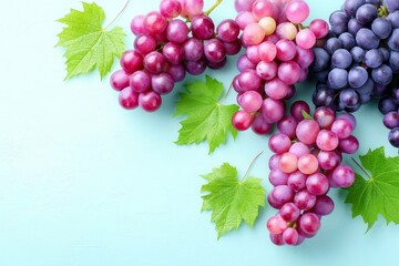 Fototapeta premium Fresh Grape Clusters with Green Leaves - Three bunches of colorful grapes with vibrant green leaves arranged on a light blue background. Perfect for healthy eating, wine, or juice themes