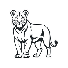 Elegant Lioness Vector Illustration Full Body View In Black And White Outline Design Animal Symbol Silhouette Powerful Feline Strong Predator