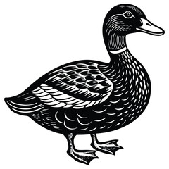 Vintage Engraved Duck Vector Illustration