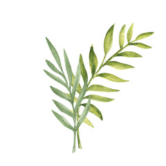 Obraz premium Tropical Leaves Composition. Eucalyptus and Palm Watercolor Bouquet. Hand drawn botanical illustration isolated on white background. For cards, invitations, posters and prints.