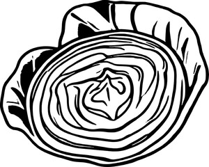 A Detailed Cross-Section Drawing Of A Cabbage Head