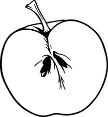 A Simple Line Drawing Of A Halved Apple Showing Seeds