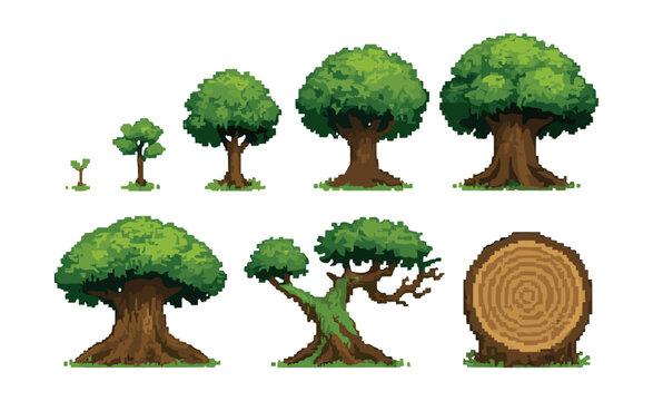 Tree life cycle icons set – pixel art style depicting growth and maturity stages. Vector icons