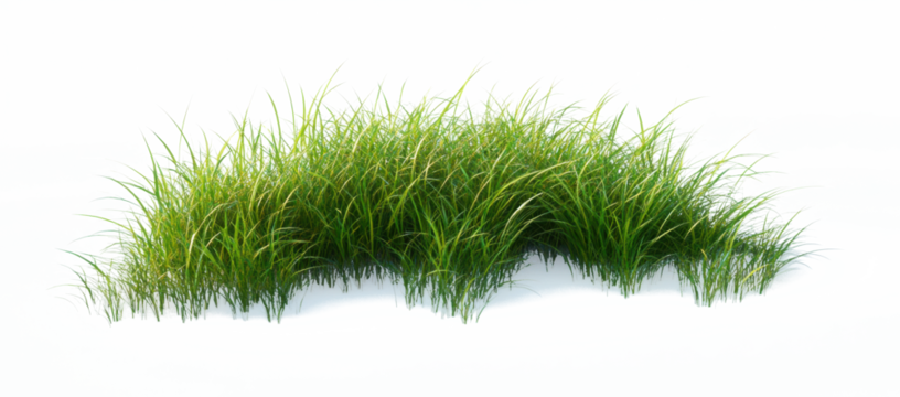 Clump of vibrant green grass against a blurred background evokes natural serenity