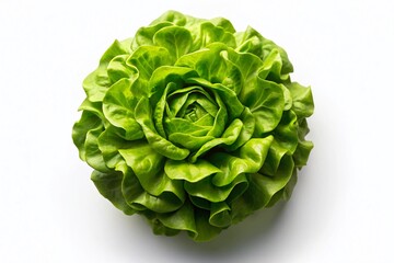 Fototapeta premium Single Green Lettuce Head, Isolated 3D Render, Aerial View, Fresh Produce