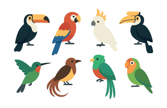 Vibrant tropical bird icons set: featuring parrot, toucan, and more. Vector icons
