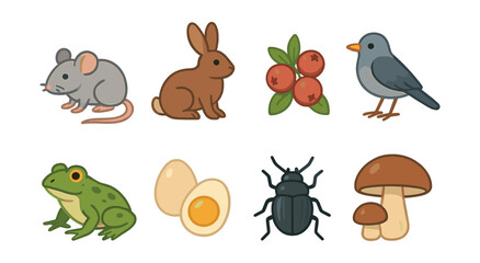 icons set: fox's diverse diet - animals, plants, and insects. Vector icons