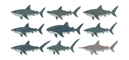 Diverse shark icon set: 9 flat icons featuring various shark species in a simple . Vector icons