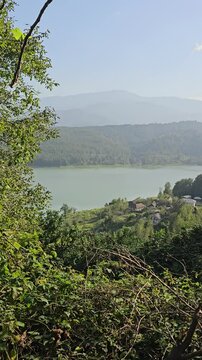 Green nature lake