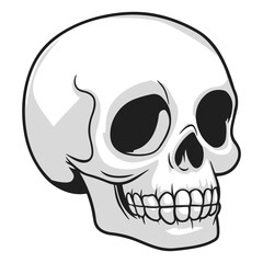 Realistic Human Skull Illustration – 3D Styled Anatomy Vector