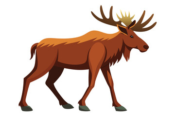 Moose Walking Illustration on White Background