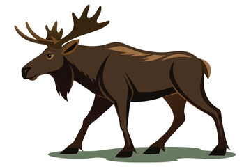 Moose Walking Illustration on White Background