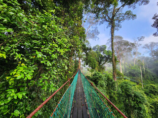 Foggy view of tree top canopy suspension bridge and platform in Danum Valley Tropical Rain forest...