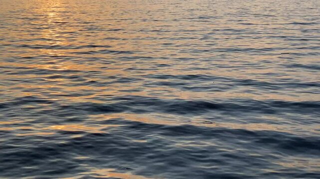 Sunset light reflecting over calm lake water with visible surface ripples. The golden tones and natural texture highlight a tranquil moment in nature, ideal for backgrounds or peaceful themes.