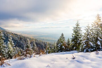 Scenic Autumn Valley View With Larches