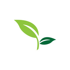 green leaf garden nature icon vector illustration template design