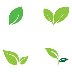 leaf nature icon vector illustration template design