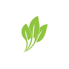 green leaf garden nature icon vector illustration template design