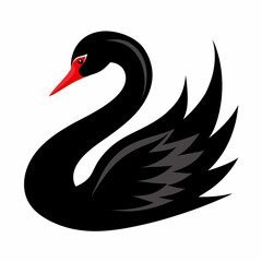 black swan vector illustration
