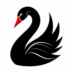black swan vector