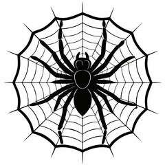 Obraz premium spider and web