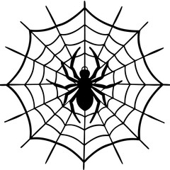 Fototapeta premium spider web