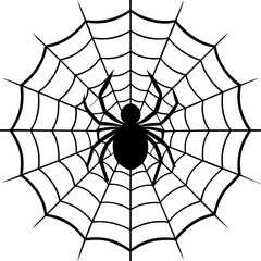 Fototapeta premium spider and web